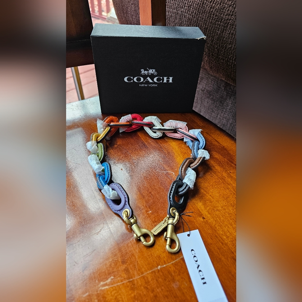 Coach Leather Covered Chain Strap Pride Rainbow